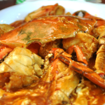 Dundee beach mud crabs